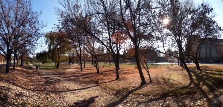 1. Halesz Park 